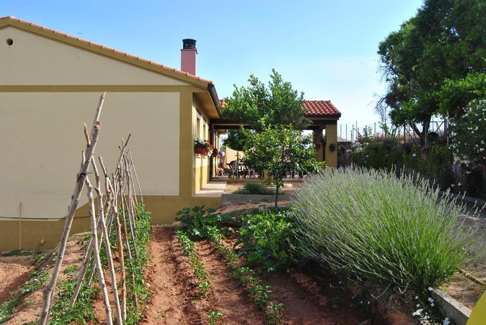 Apartamentos La Bodega Del Abuelo Bujalaro Exteriör bild